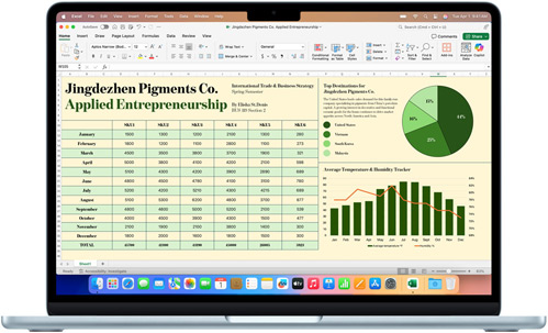 Microsoft Excel App auf einem MacBook Air