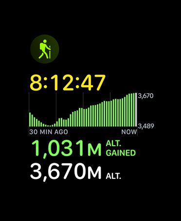 Hiking workout card, metrics: time, elevation