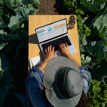 Birdseye view of a woman in a widebrim hat working on a business presentation on a MacBook, sitting at a table in a garden.