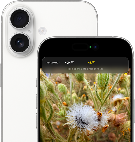 iPhone&nbsp;17, вид ззаду, заокруглені кути, система двох камер Fusion угорі ліворуч, білий колір, вид спереду, Dynamic&nbsp;Island, заокруглені кути